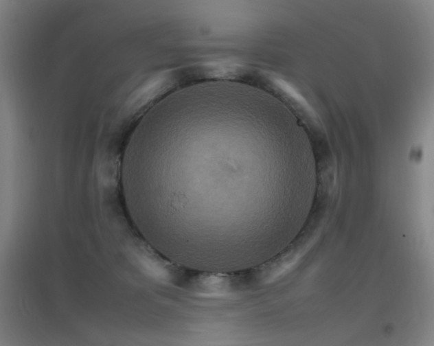 X0000096700325200802051417