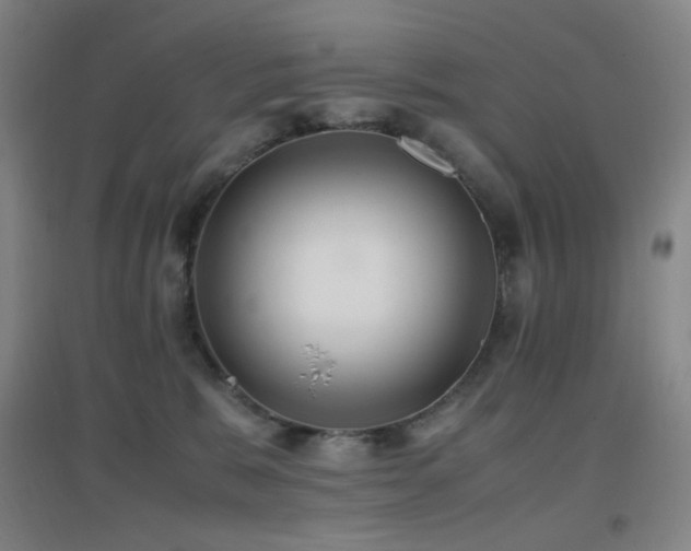 X0000096700327200802051417