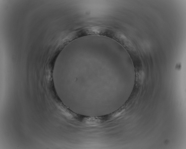 X0000096700331200802051417