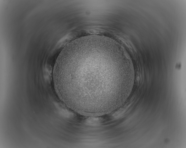 X0000096700332200802051417