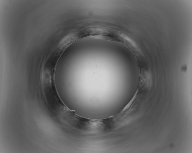 X0000096700333200802051417