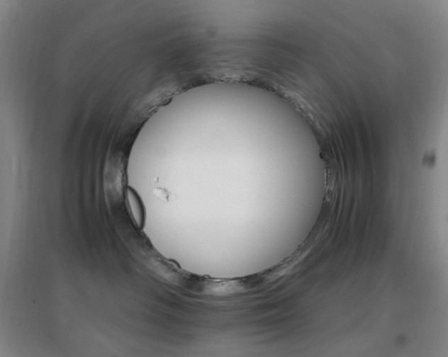 X0000096700334200802051417