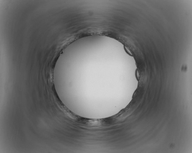 X0000096700335200802051417
