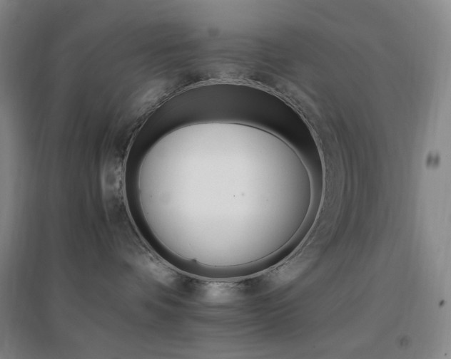 X0000096700336200802051417