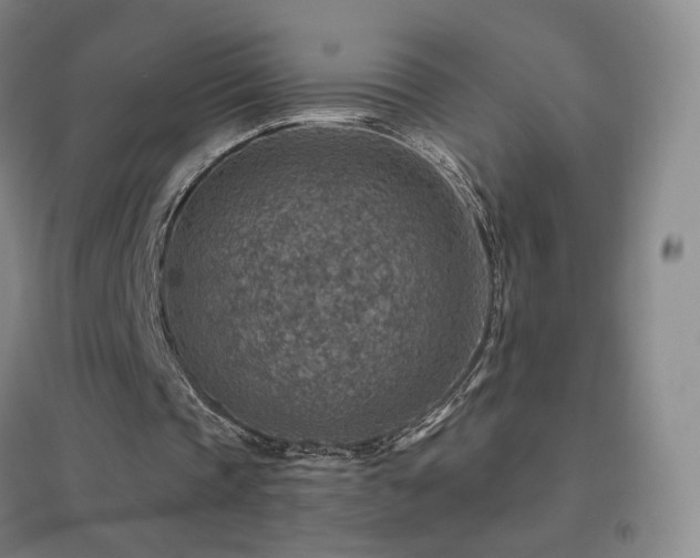 X0000096700337200802051416