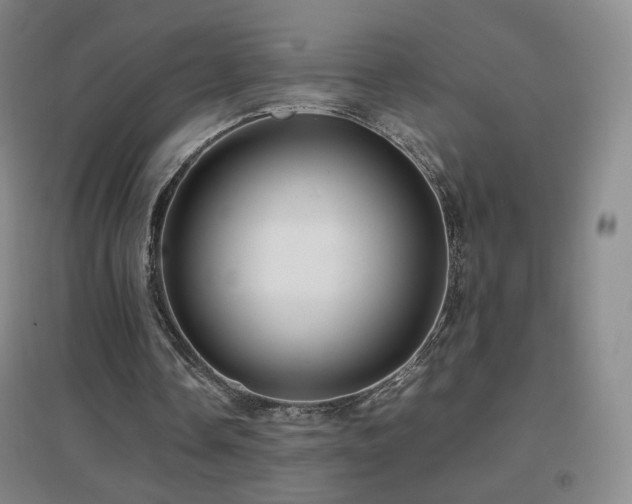 X0000096700338200802051416