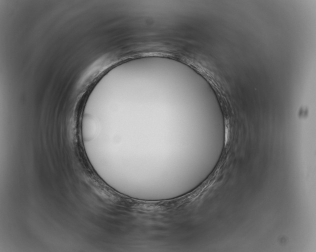 X0000096700339200802051416