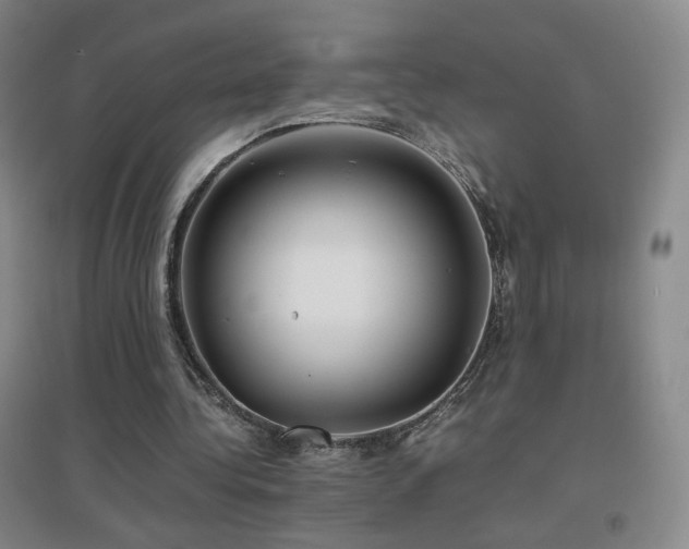 X0000096700340200802051416