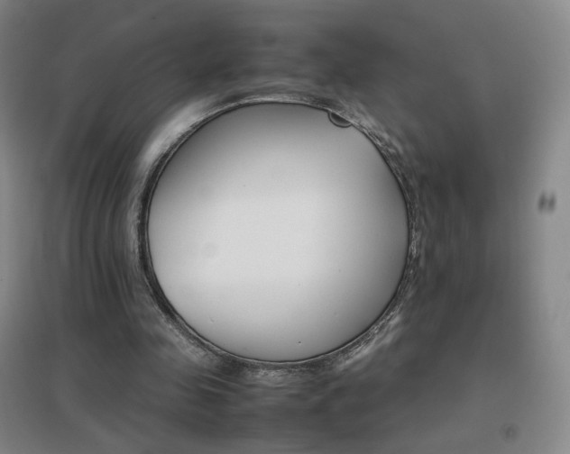 X0000096700341200802051416