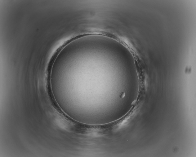X0000096700342200802051416