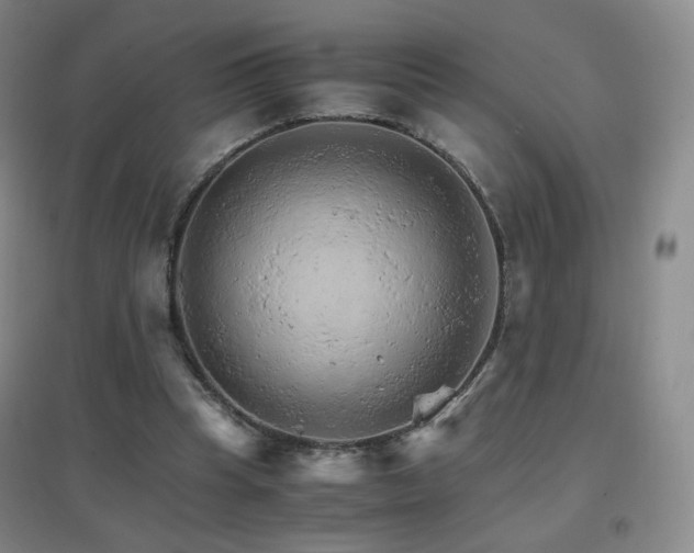 X0000096700345200802051416