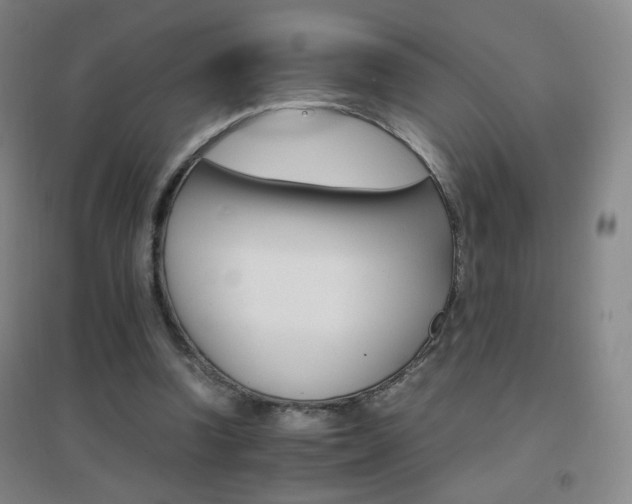 X0000096700346200802051416