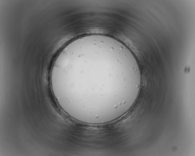 X0000096700347200802051416