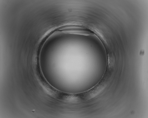 X0000096700348200802051416