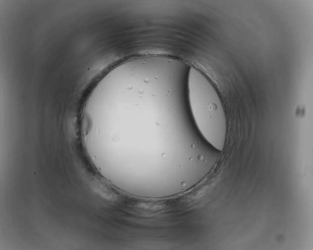 X0000096700351200802051416