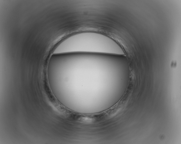 X0000096700352200802051416