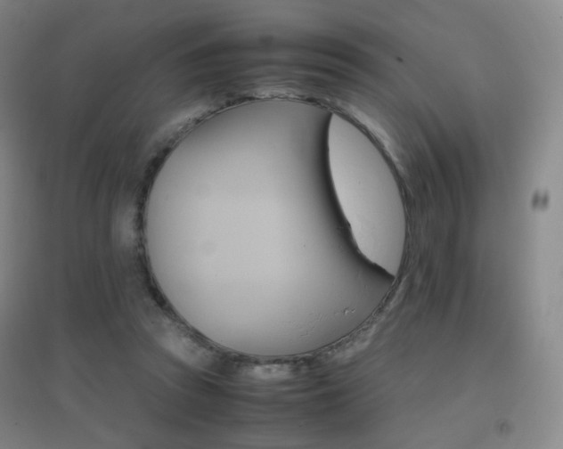 X0000096700353200802051416