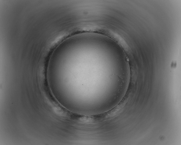 X0000096700354200802051416
