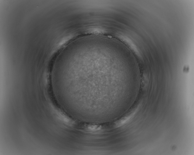 X0000096700355200802051416
