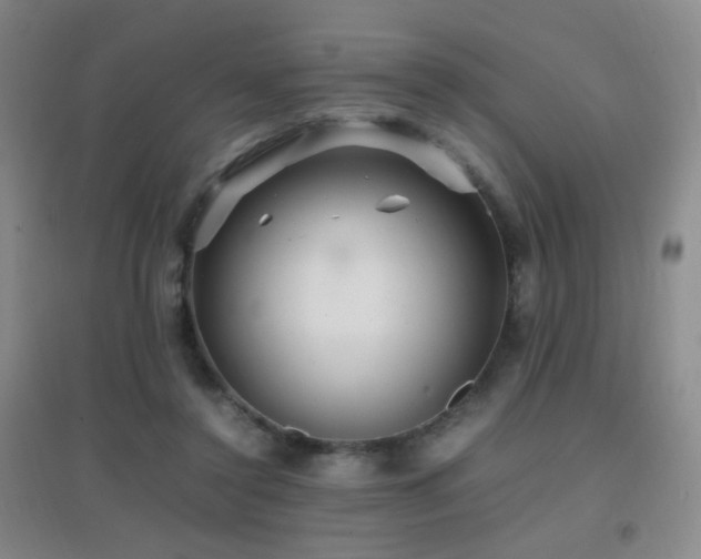 X0000096700356200802051416