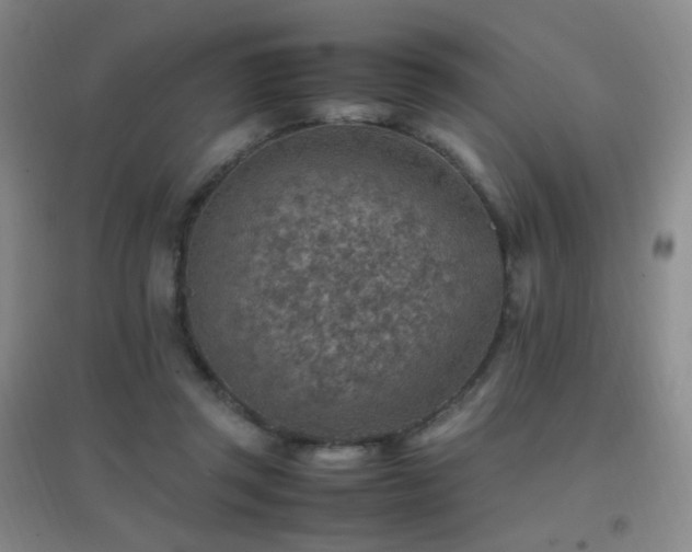 X0000096700357200802051416
