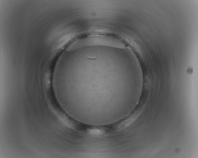 X0000096700358200802051416