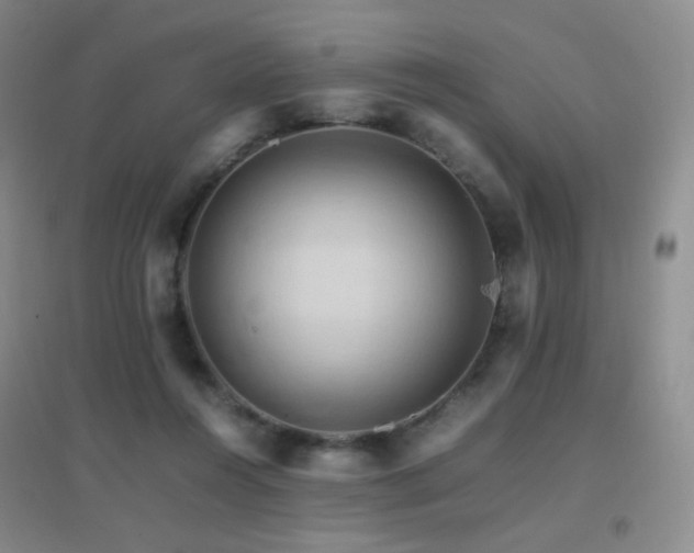 X0000096700360200802051416