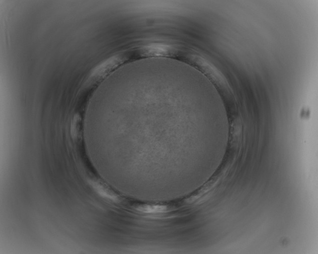 X0000096700361200802051416