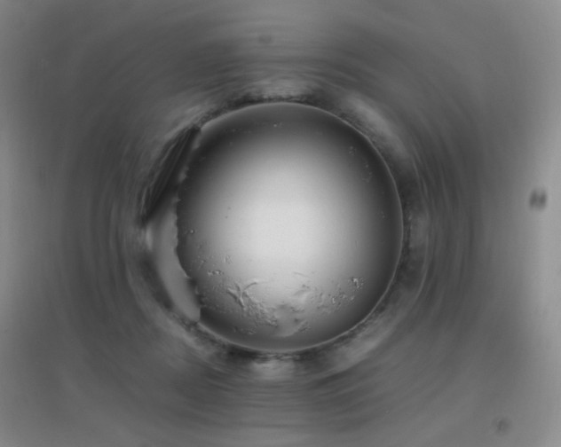 X0000096700362200802051416