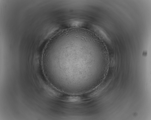 X0000096700363200802051416