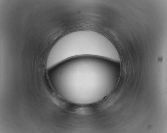 X0000096700364200802051416