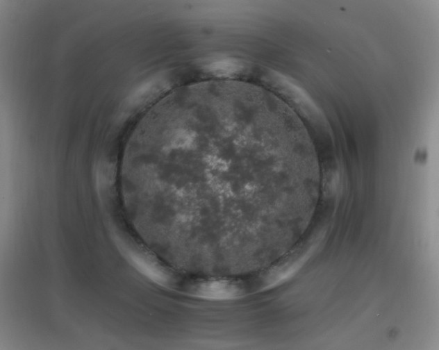 X0000096700365200802051417