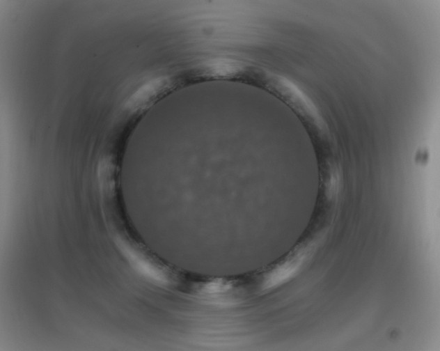 X0000096700366200802051417