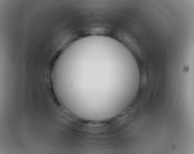 X0000096700367200802051417