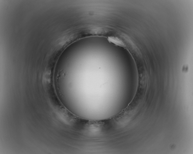 X0000096700368200802051417