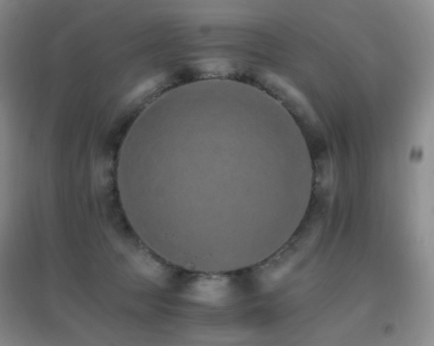 X0000096700369200802051417
