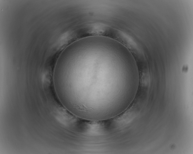 X0000096700370200802051417
