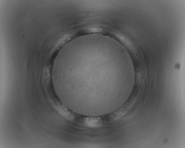 X0000096700373200802051417