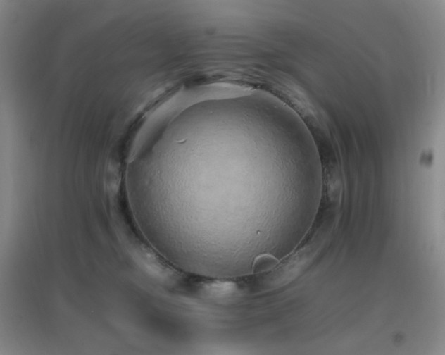 X0000096700374200802051417