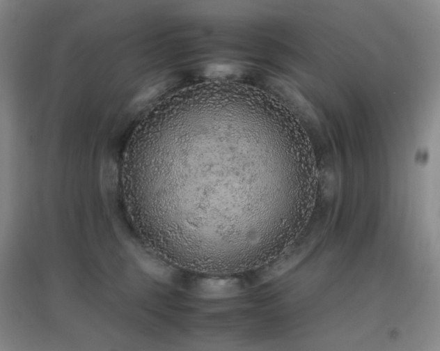 X0000096700375200802051417