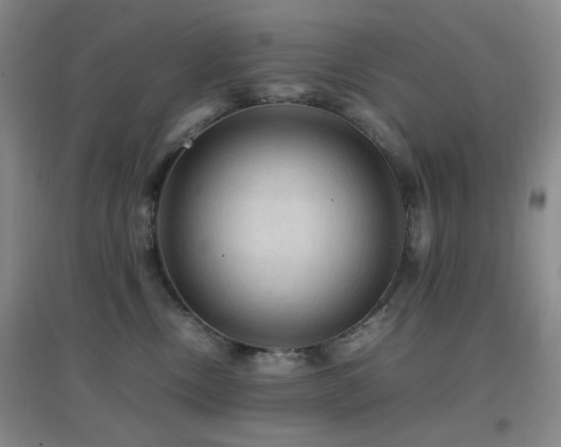 X0000096700378200802051417