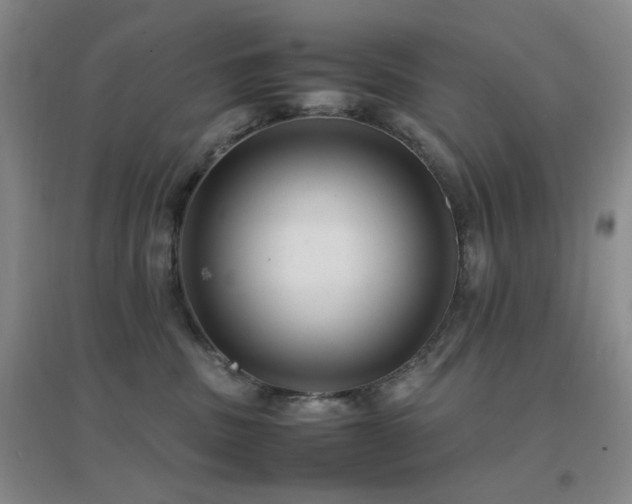 X0000096700379200802051417