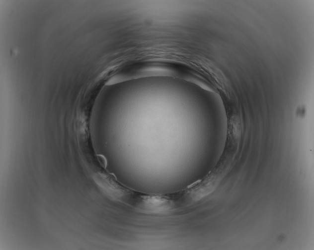 X0000096700380200802051417