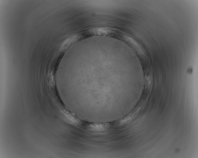 X0000096700381200802051417