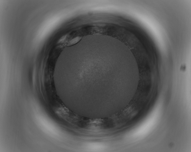 X0000096700382200802051417