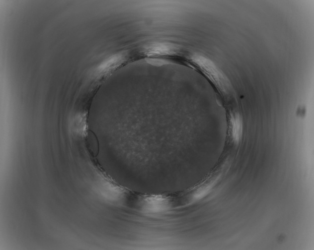 X0000096700383200802051417