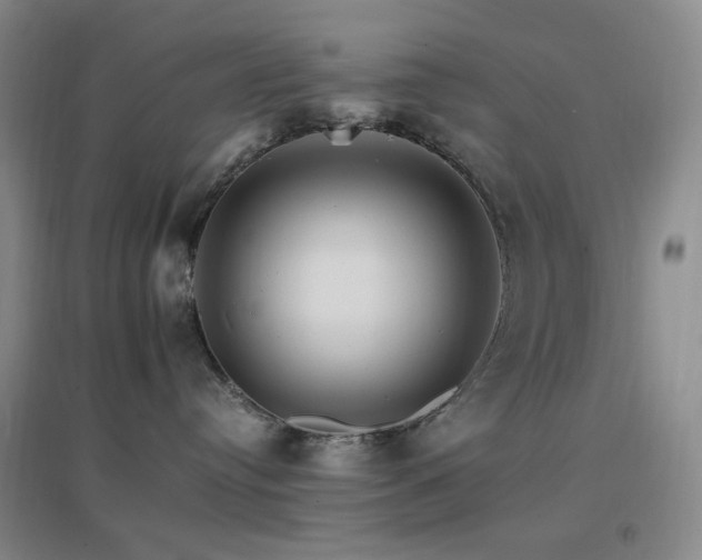 X0000096700384200802051417