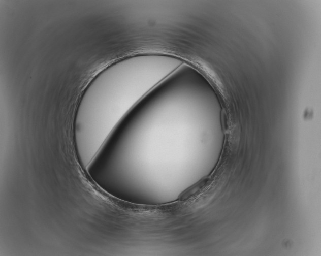 X0000096700385200802051416