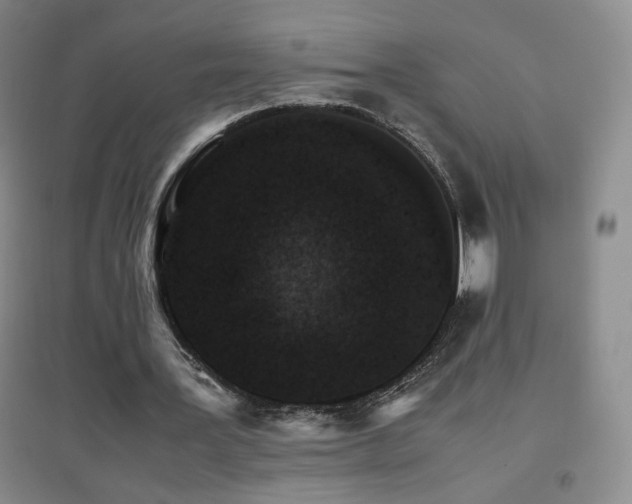 X0000096700387200802051416