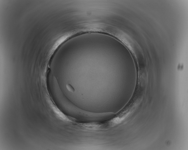 X0000096700389200802051416